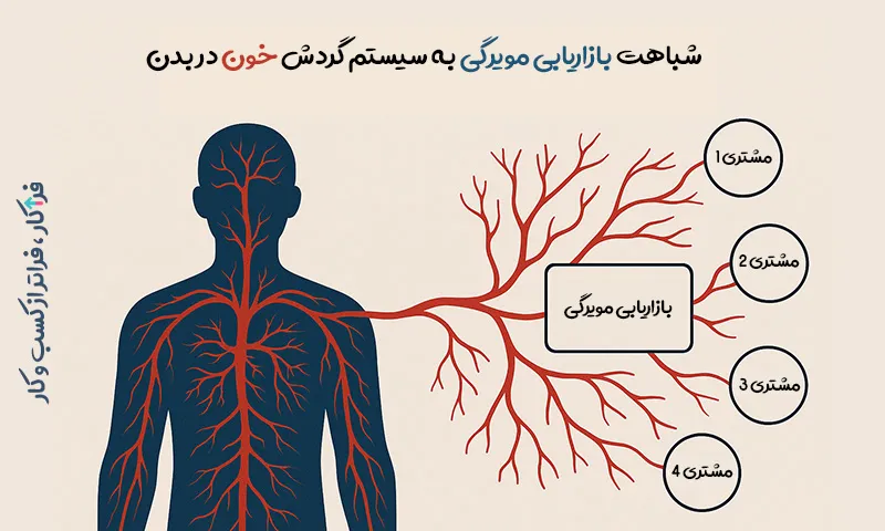 بازاریابی مویرگی و شباهت به گردش خون انسان 